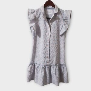 The Shirt Rochelle Behrens Drop Waist Peplum Dress Crinkled Gingham Pink Blue XS